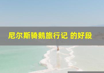 尼尔斯骑鹅旅行记 的好段